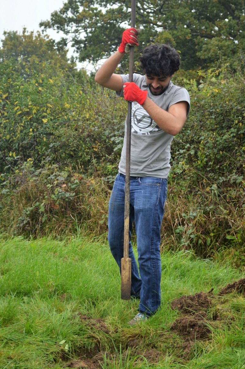 Woodmac 2 Green project
