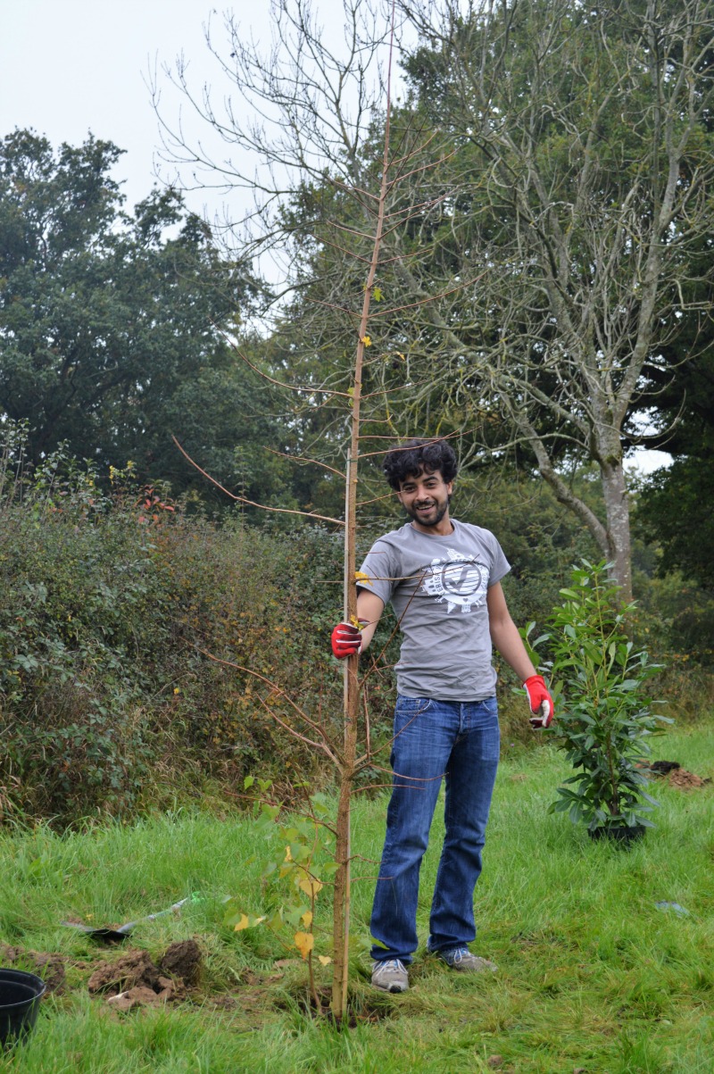 Woodmac 2 Green project2
