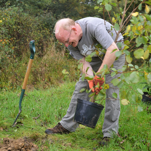 Green project volunteer planting