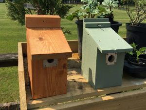 Mens shed bird boxes