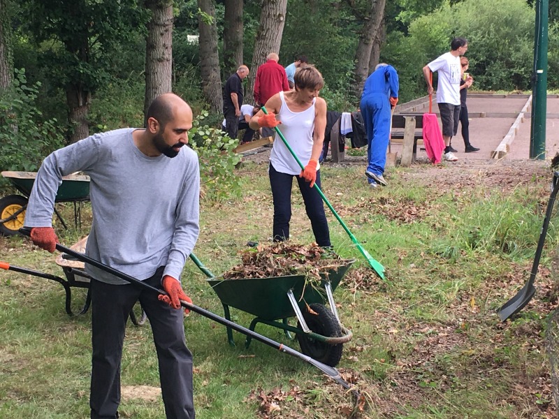 green project clearing leaves