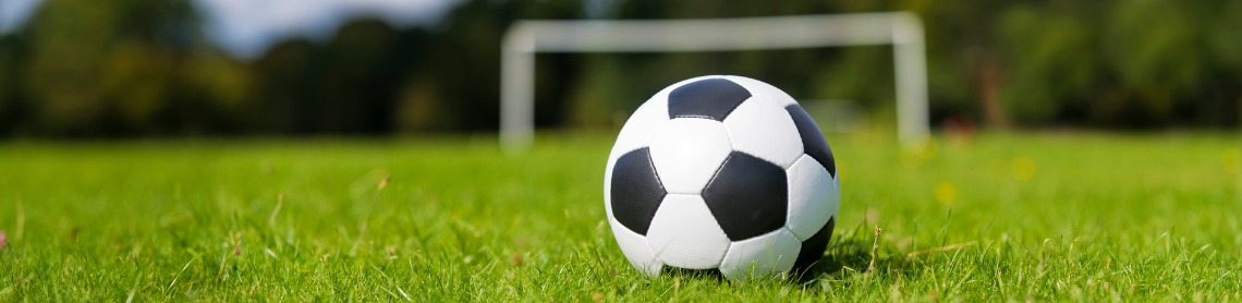 soccer ball on grass banner