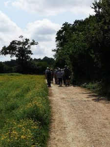 Health Walk 1