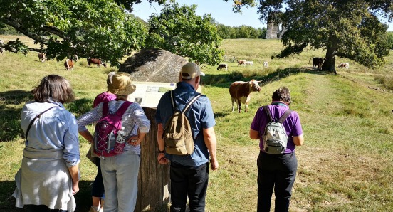 Health Walks